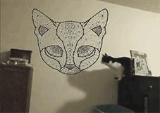 猫咪猜杯子游戏第三关 (猫咪口杯猜球游戏)