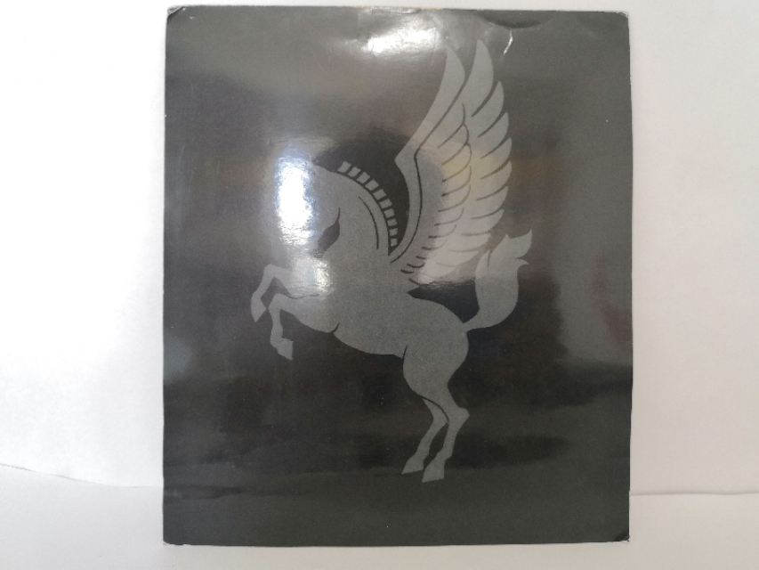 为了我的女神！天马座胸像分享！