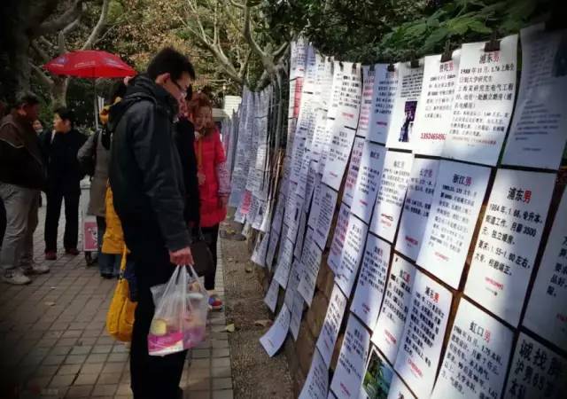 看看纽约中央公园的美景,真实的纽约中央公园