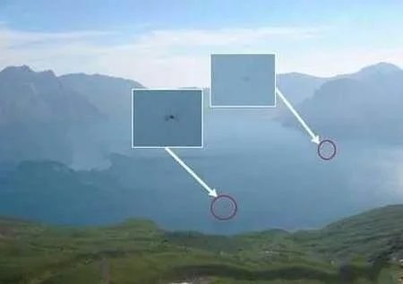 地球十大巨型未知生物,地球未知生物档案解密