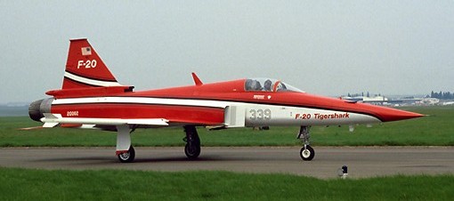 极富悲剧色彩的虎鲸,虎鲨悲剧