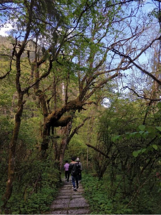 海螺沟燕子沟四日游,海螺沟燕子沟风景区