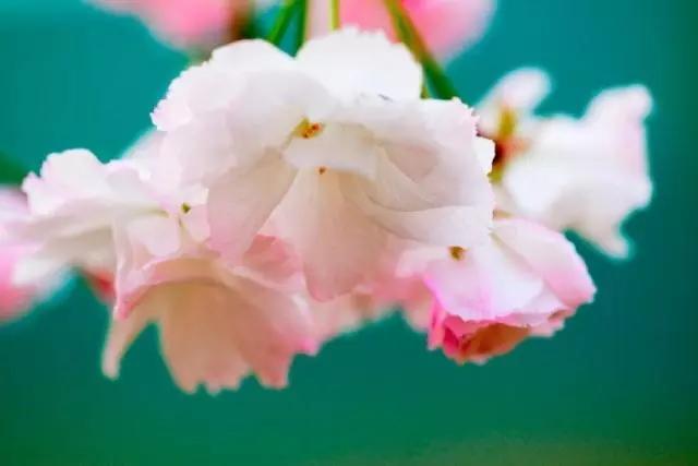 让你醍醐灌顶的一句话，句句实诚，总有一句是你最喜欢的！