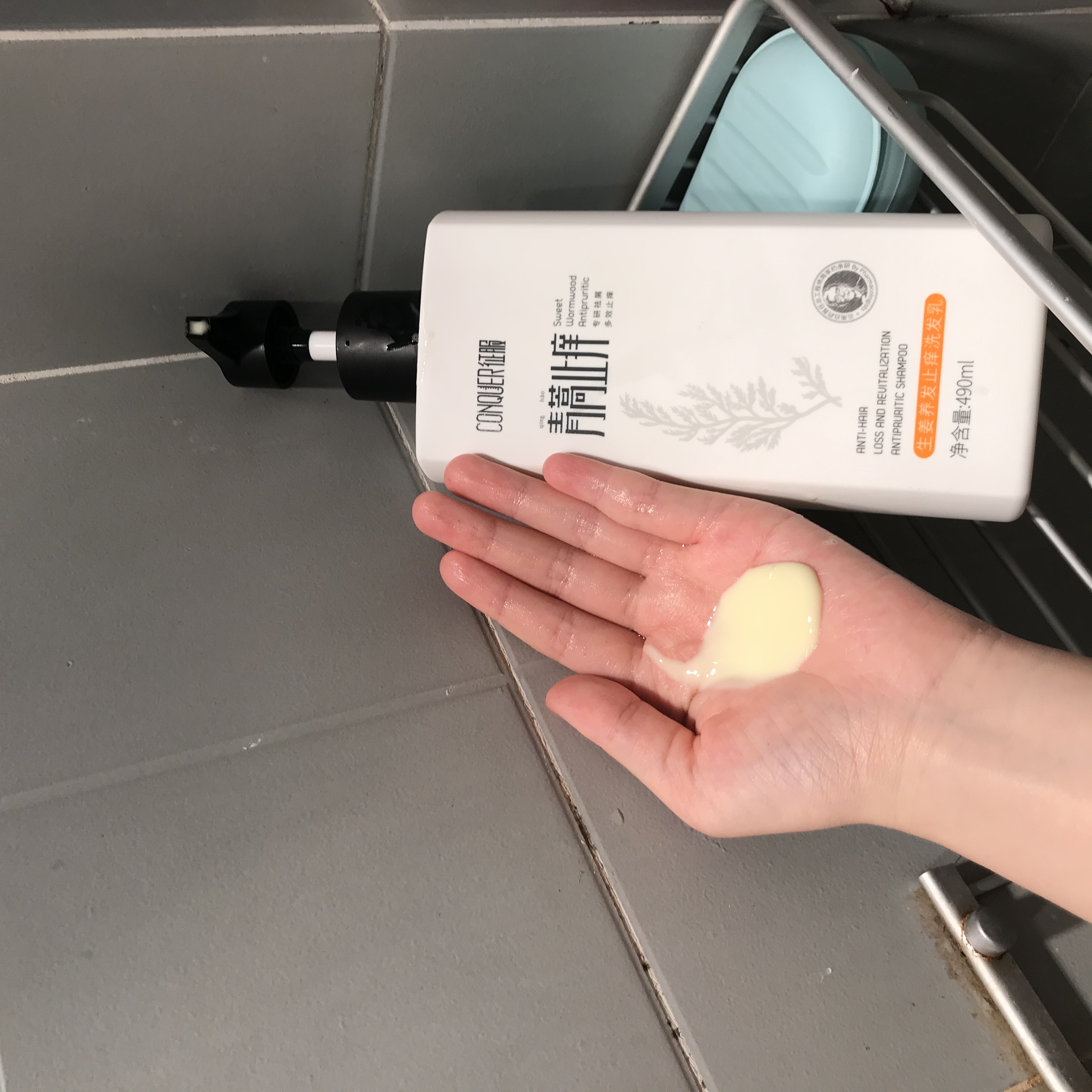 康王之父,康王之父周家礽