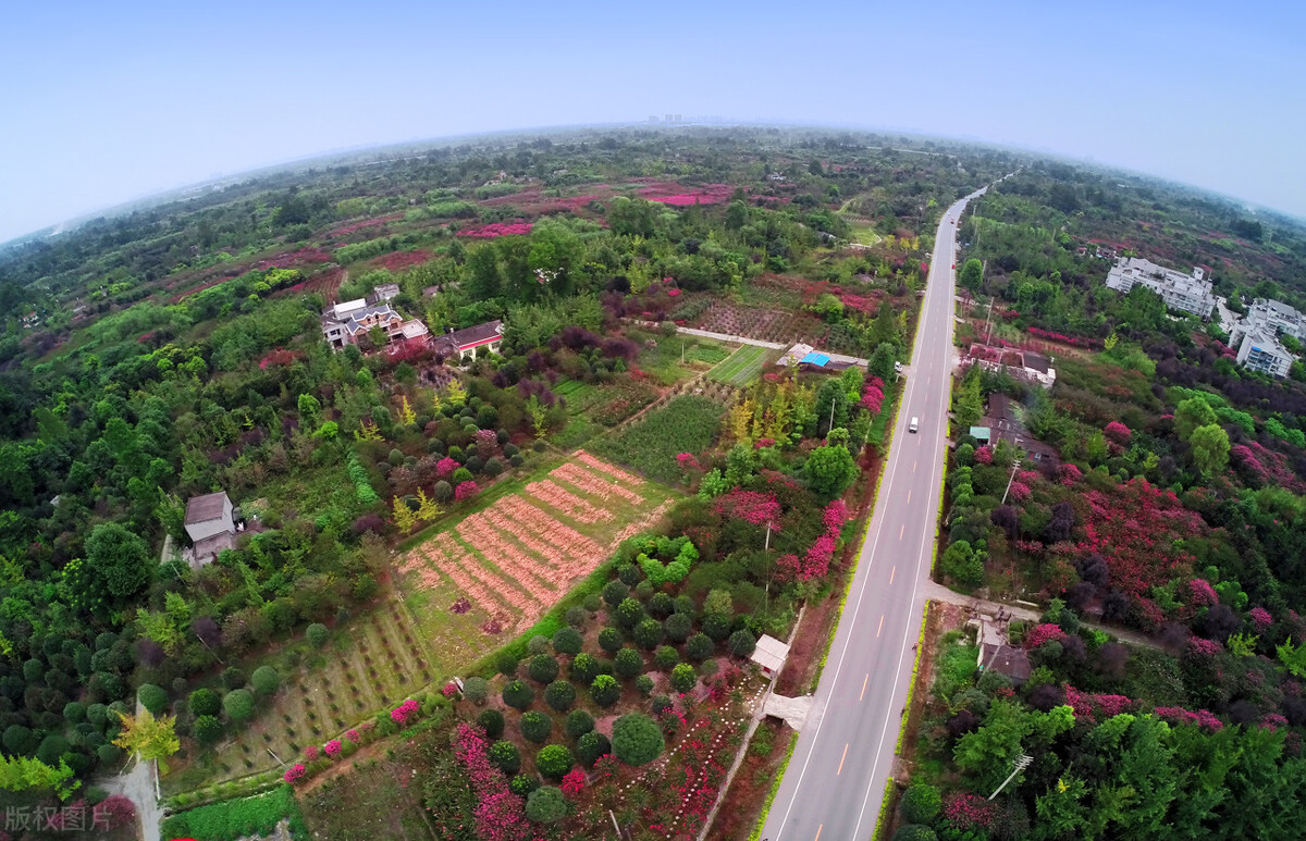 管中窥豹：温江与双流的差距，就是成都二圈层区县发展的缩影