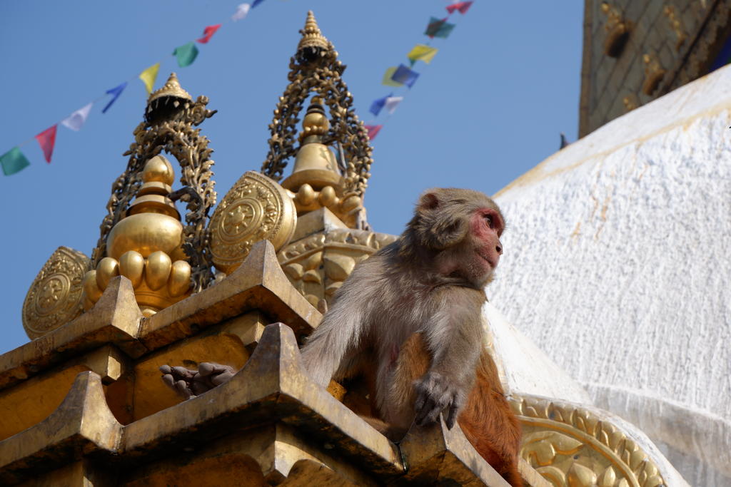 坐公交出国,坐公交可以环游中国么