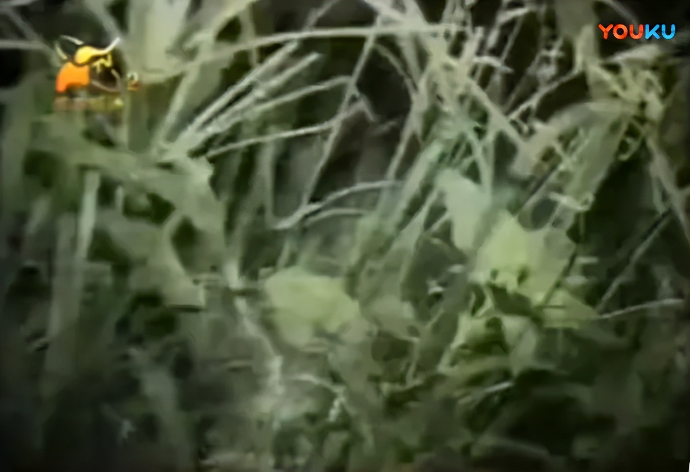 热搜这就凉了?不应该呀