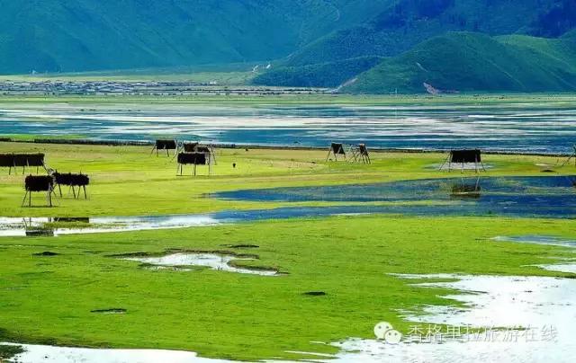 香格里拉除了景点还有好玩的地方,丽江去香格里拉路途中有什么景点