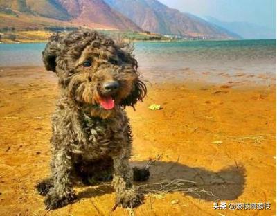 角质层损伤怎么修复,修复角质层的护肤品