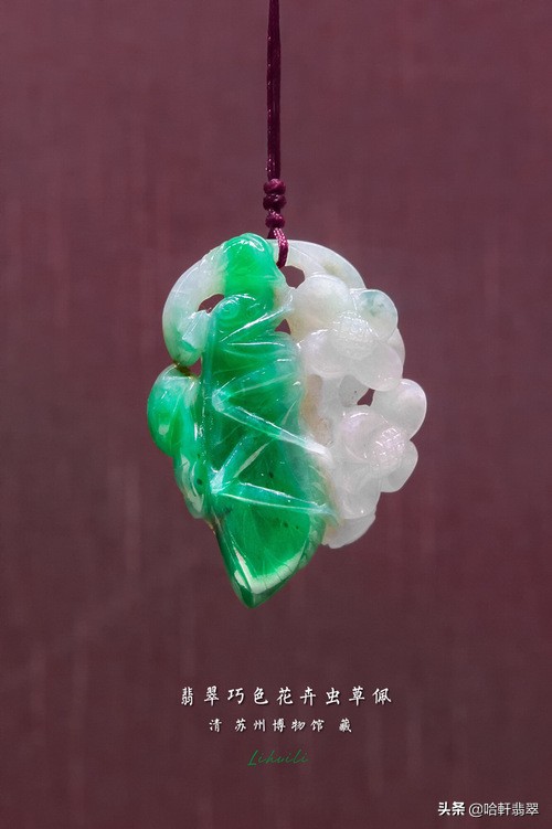 翡翠手镯苏州,苏州博物馆玉手镯