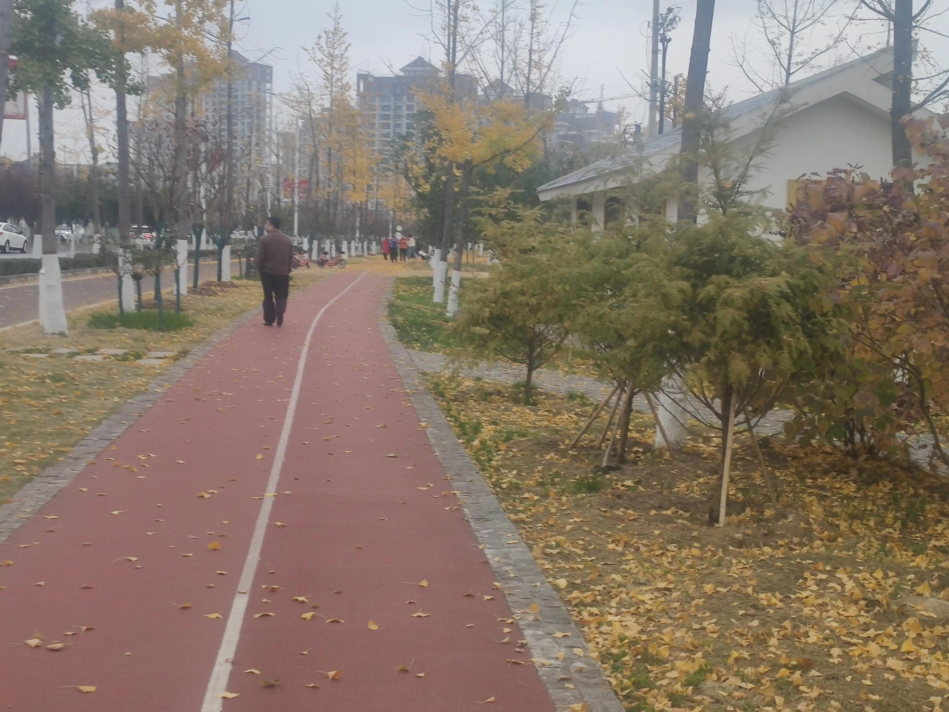 落叶西风,落叶西风知乎