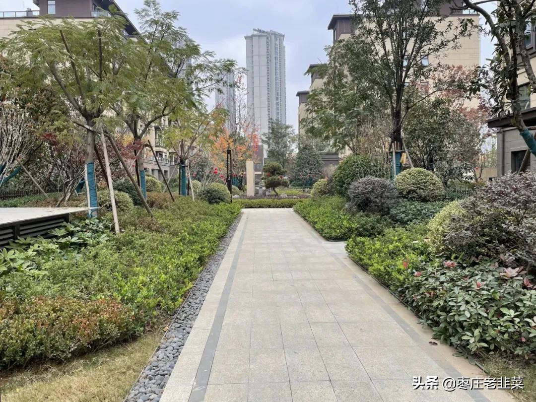 枣庄鸿鑫御景南区洋房,枣庄鸿鑫御景南区视频