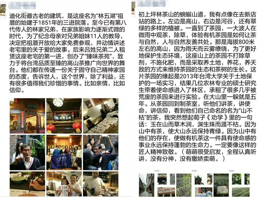 真正的台湾茶,最火的台湾茶