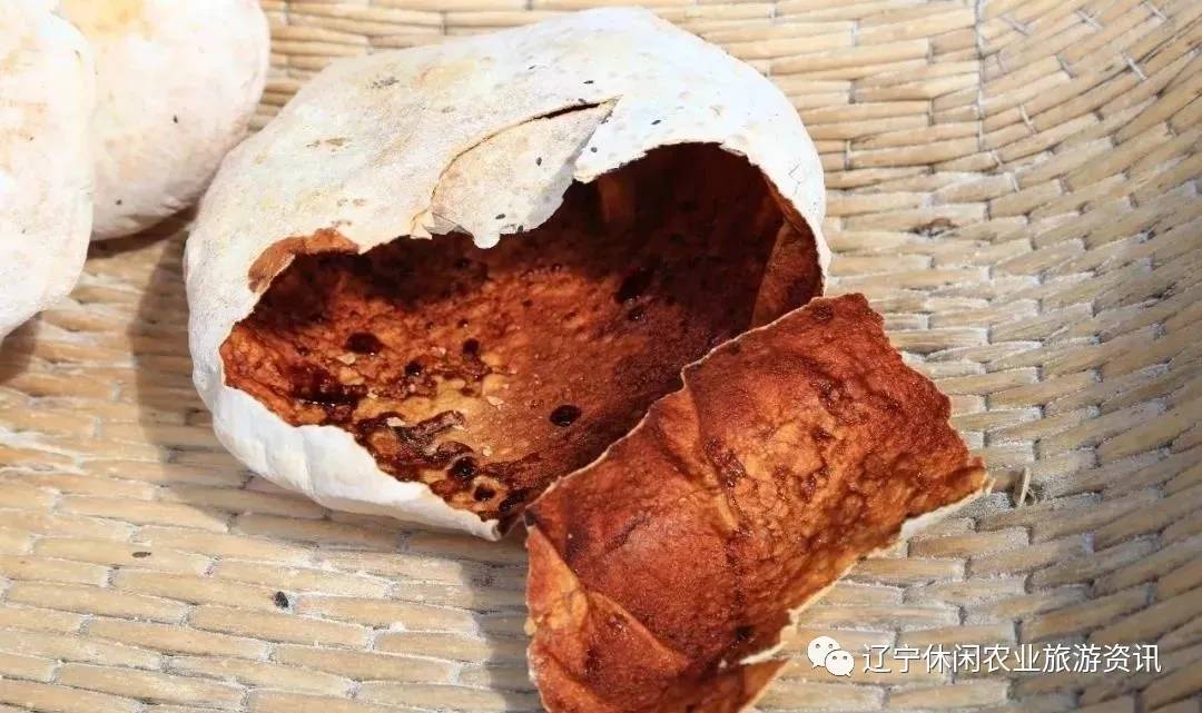 旅顺杏花村风景,旅顺杏花微雨醉春风