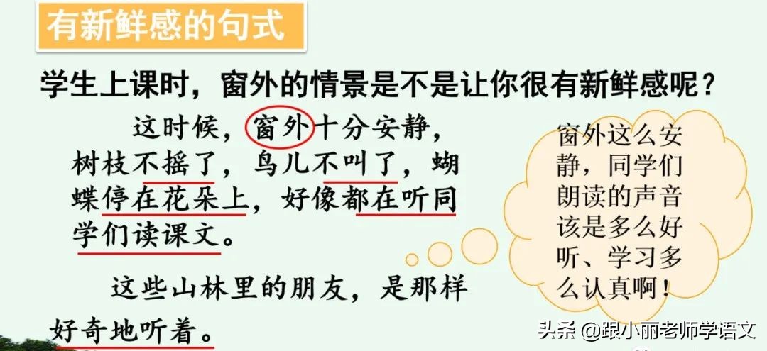 大青树下的小学重要背诵内容,大青树下的小学必会知识点