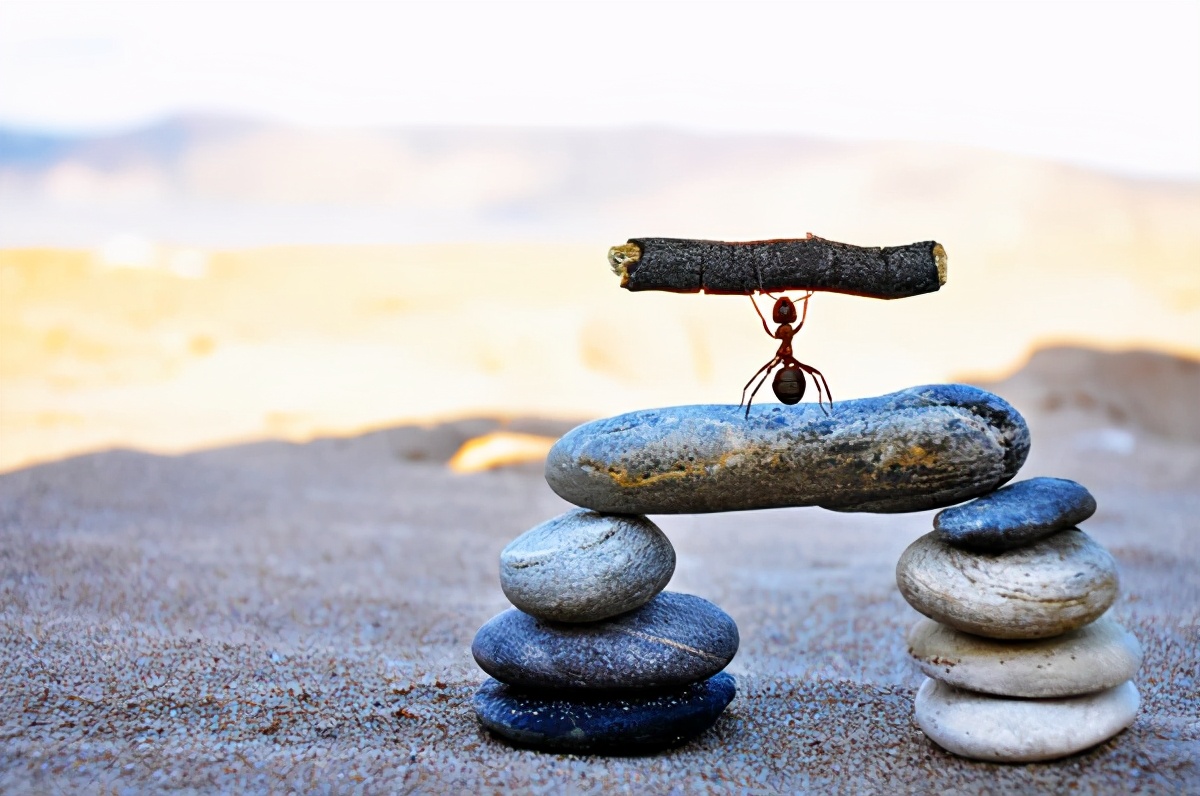 五年级议论文怎么写,五年级议论文怎么写图片