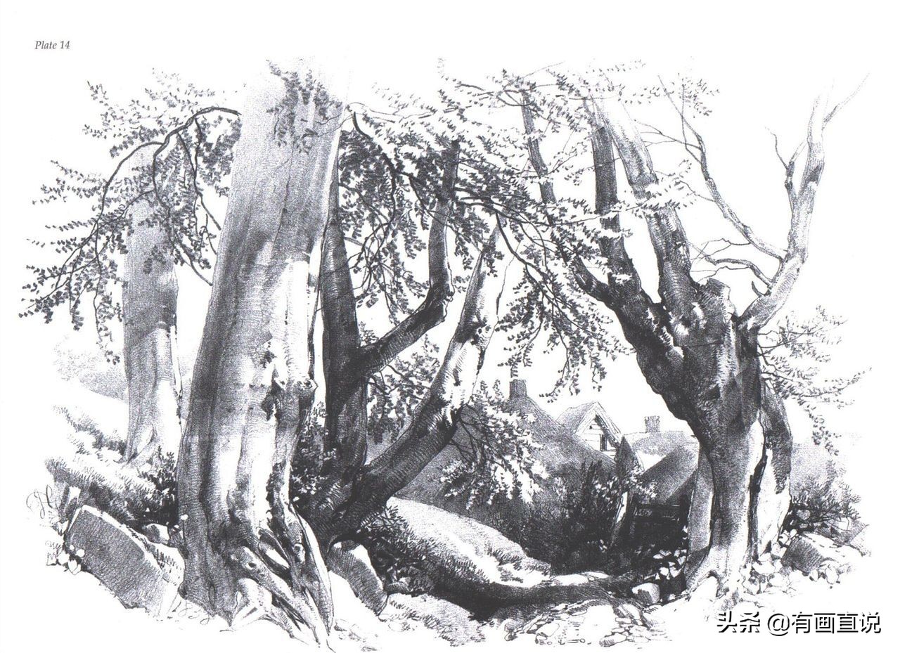 素描临摹高清大图初学,素描教程初学者临摹图