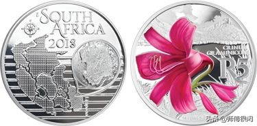 世界硬币获奖作品欣赏,世界硬币大奖赛获奖