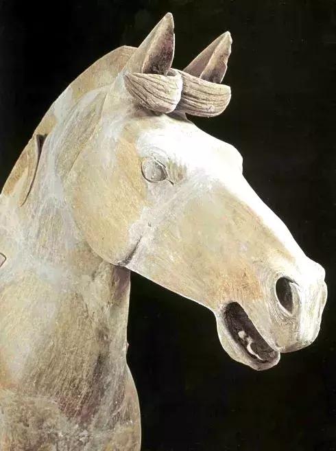 马青云女士找到了吗,主人公叫马青云的官场小说