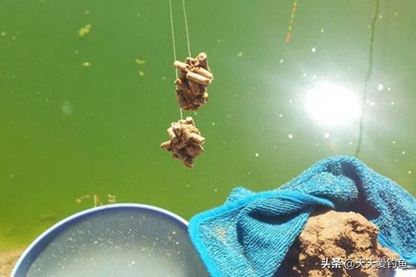 钓鱼颗粒的正确使用方法,钓鱼商品饵怎么拌好