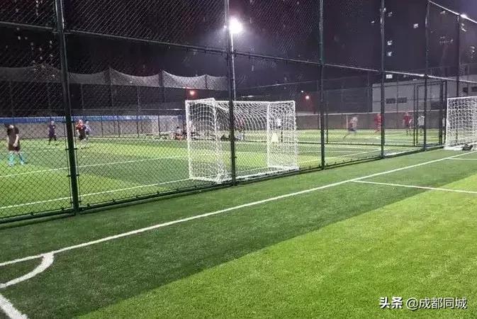 成都公共球场,成都公共体育场馆