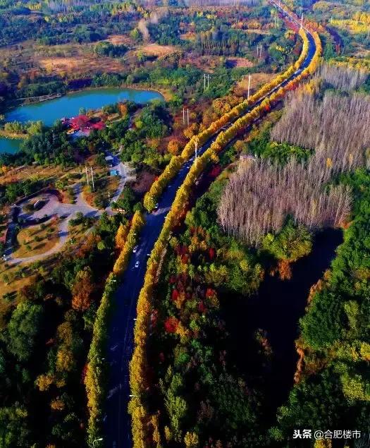 赠送面积超容积率,合肥高性价比叠墅