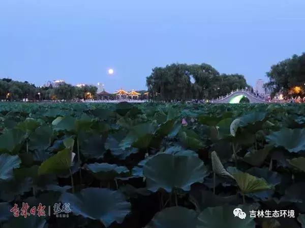 长春南湖日出图,今天的长春南湖