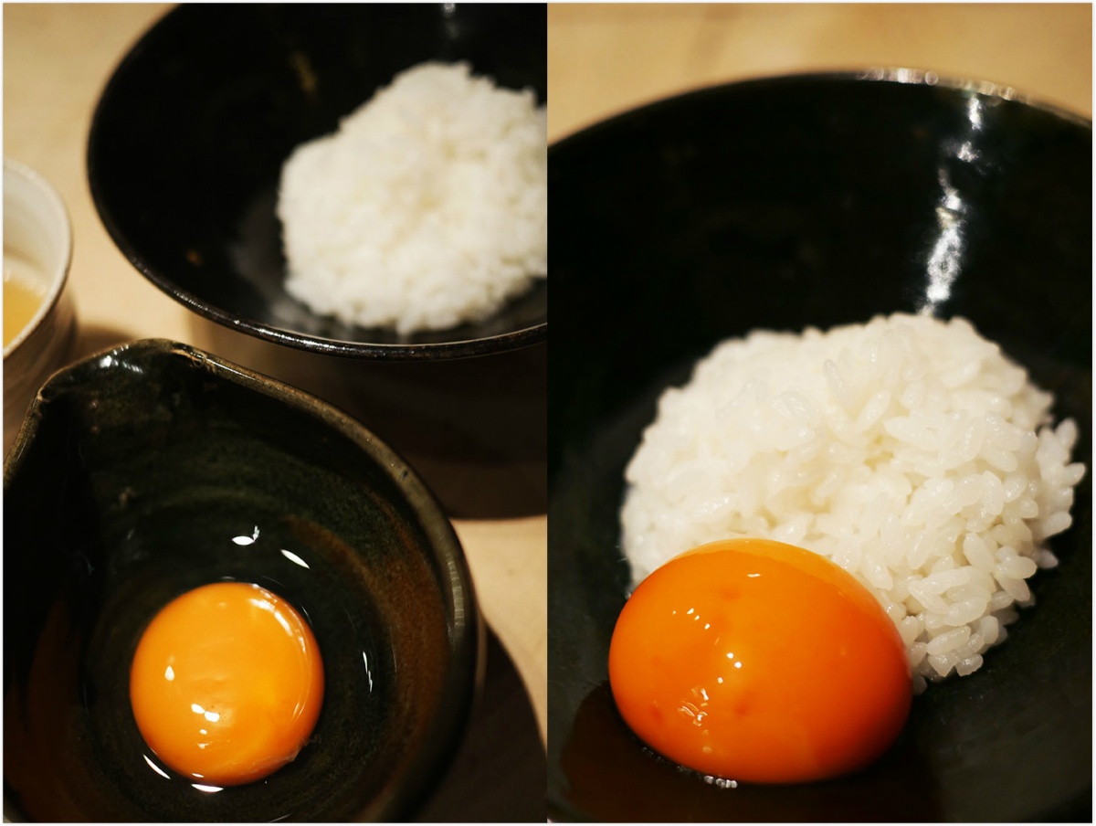 一只鸡获得了金蛋,一只鸡的最高荣誉