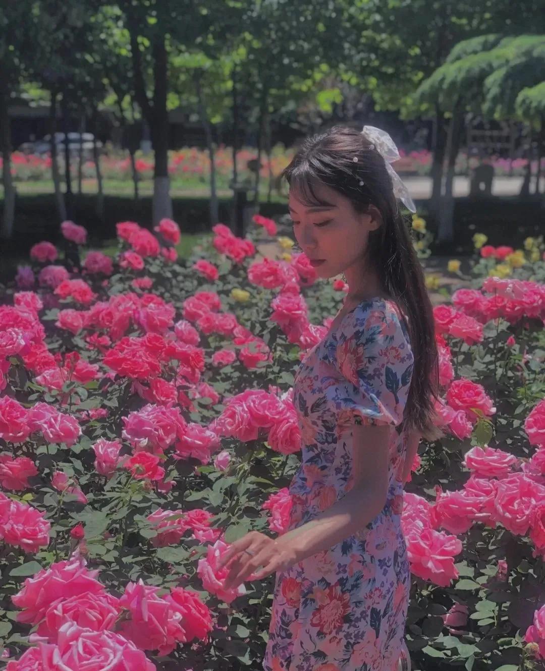 私藏拍照最好的地方,天津适合拍照又安静的地方