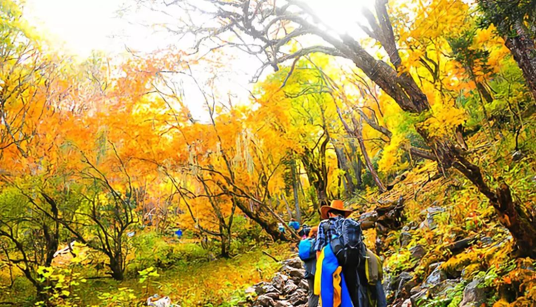 追寻军嶂古道的历史古迹、探索不一样的徒步之旅