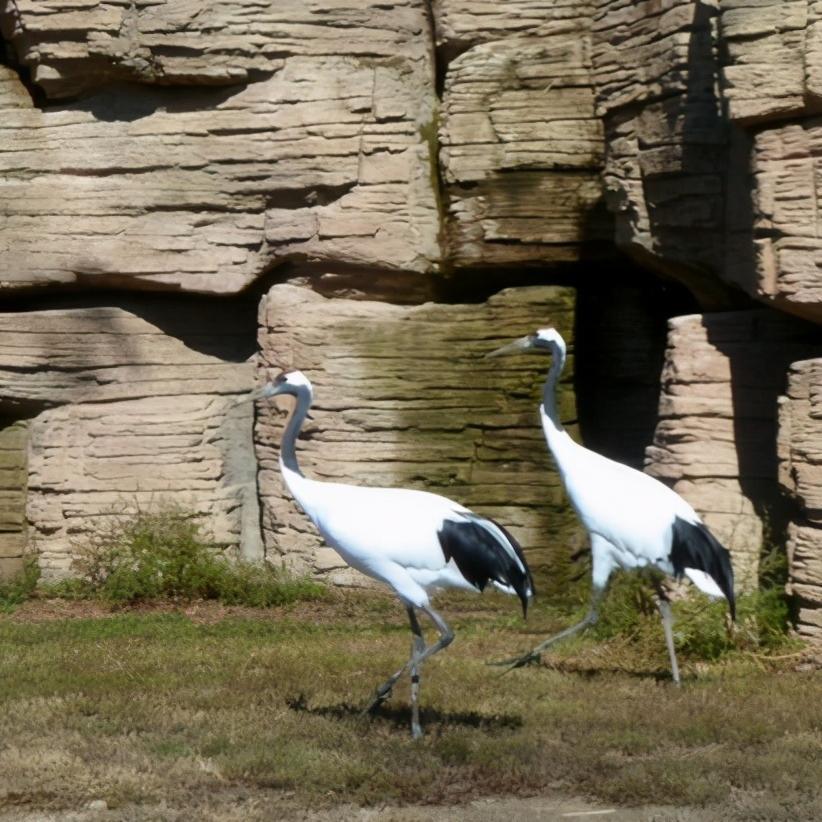 辽宁省盘锦市所辖区有哪些,辽宁省盘锦市有哪几个区