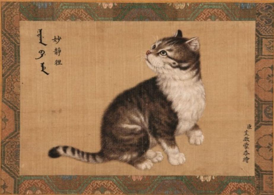 古代猫名字,古代猫的名字