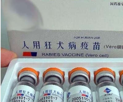 被猫狗咬伤了要怎么办动画,被猫狗轻微抓伤怎么办