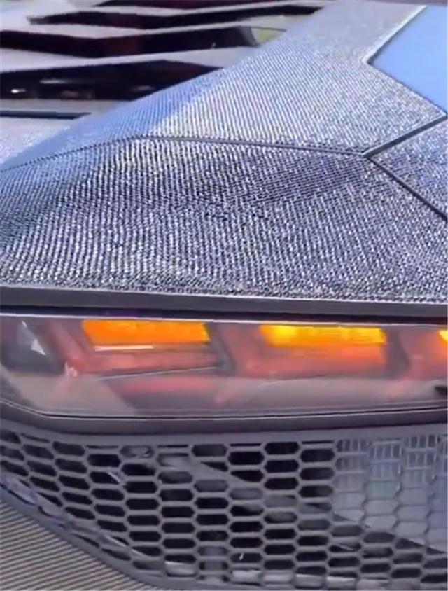 “黑天鹅”*博兰**基尼SVJ，全车漆面值7位数，还镶嵌施华洛世奇水晶