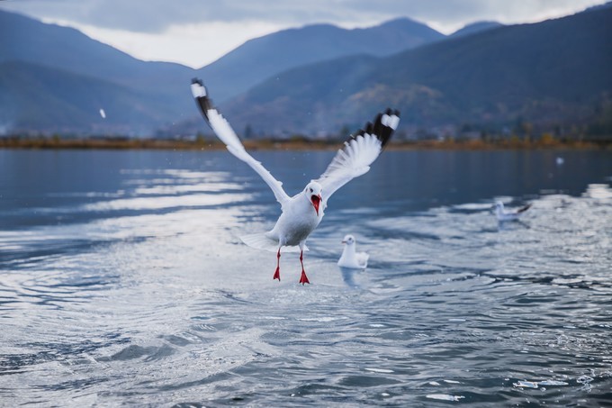 消失的地平线上的“香巴拉”和“女儿国”（二）