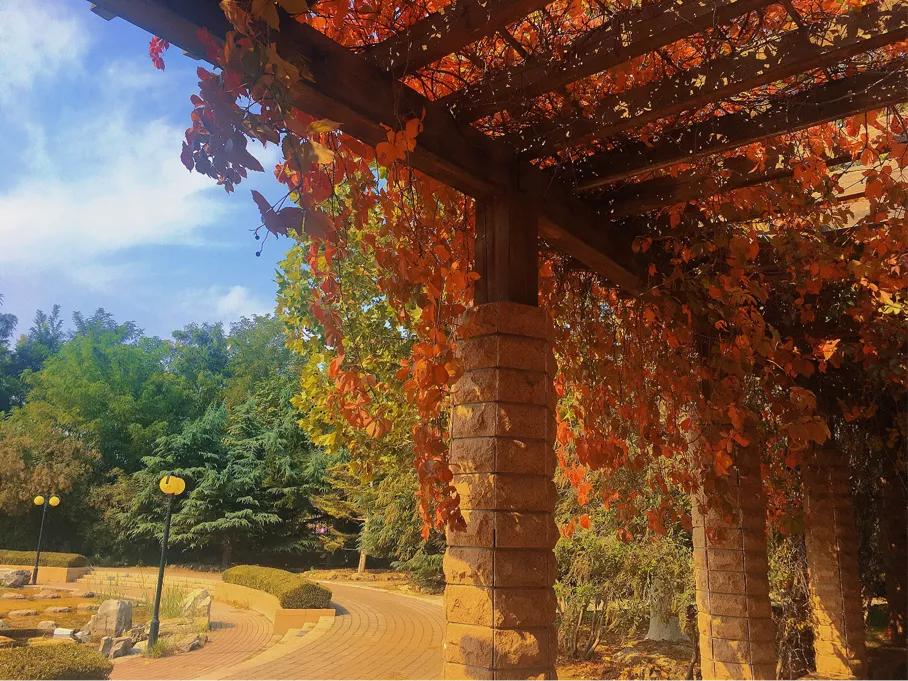 南开大学滨海学院天津排名,天津曾经的滨海学院