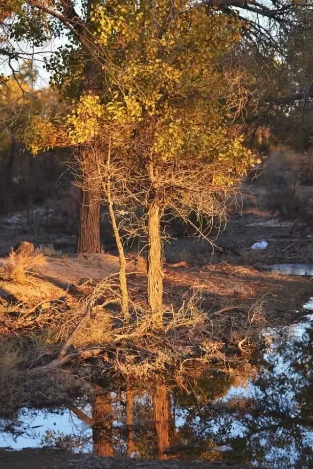 下半年旅行最佳时间表,2023最佳旅游时间表