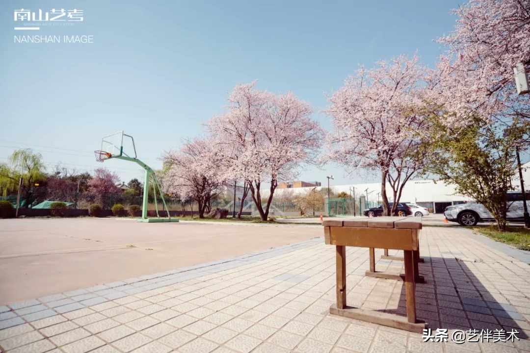 南山艺考画室怎么样收费,西安南山艺考画室官方账号