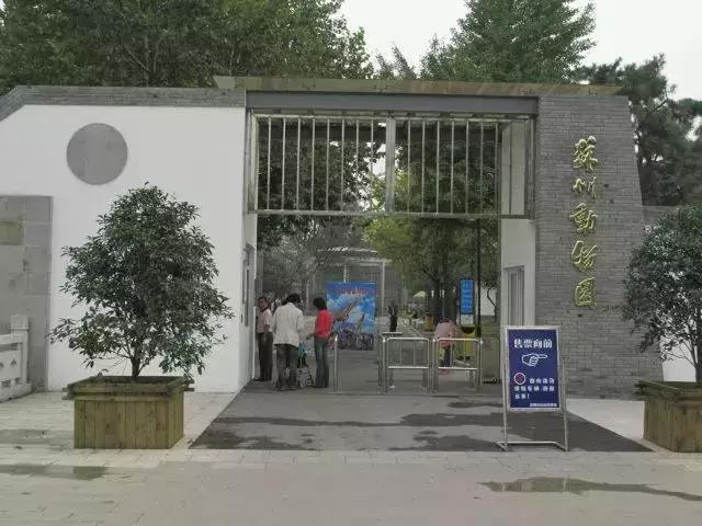 一个90后的手残党,苏州90后回忆