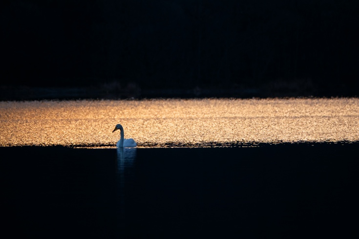 慢享自然，快意拍摄索尼黑卡RX10M4升级体验