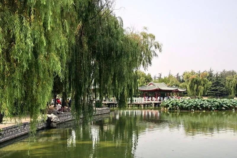 潍坊的私家园林,潍坊自怡园有哪些景点