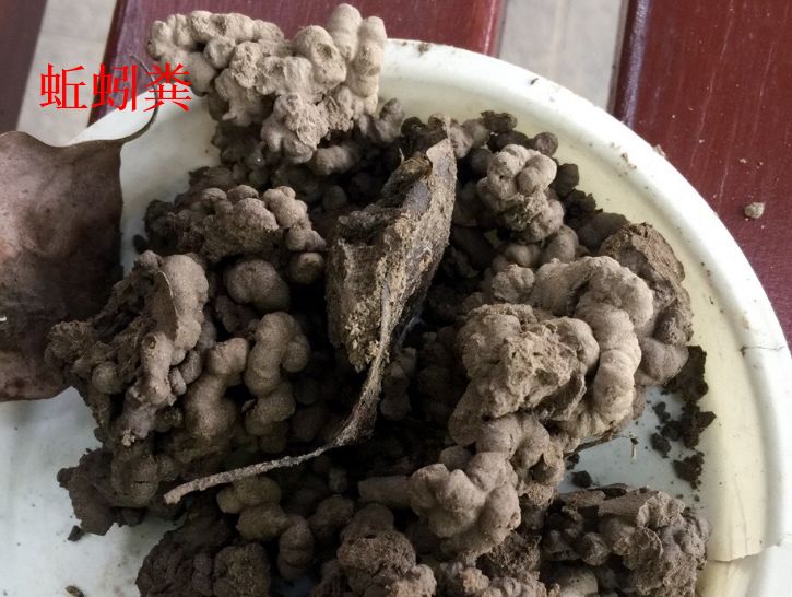 养花最好的颗粒土,碎砖养花的正确方法