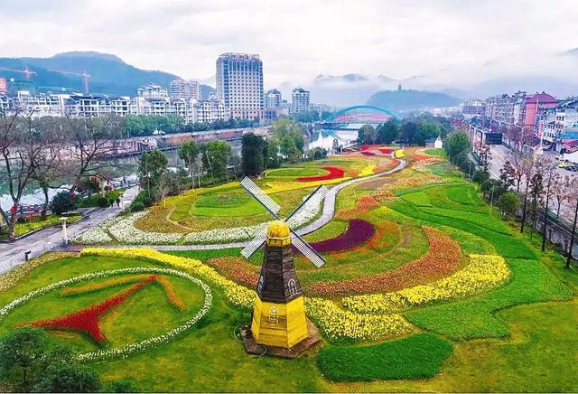 “菌”临天下之丽水市云和黑木耳