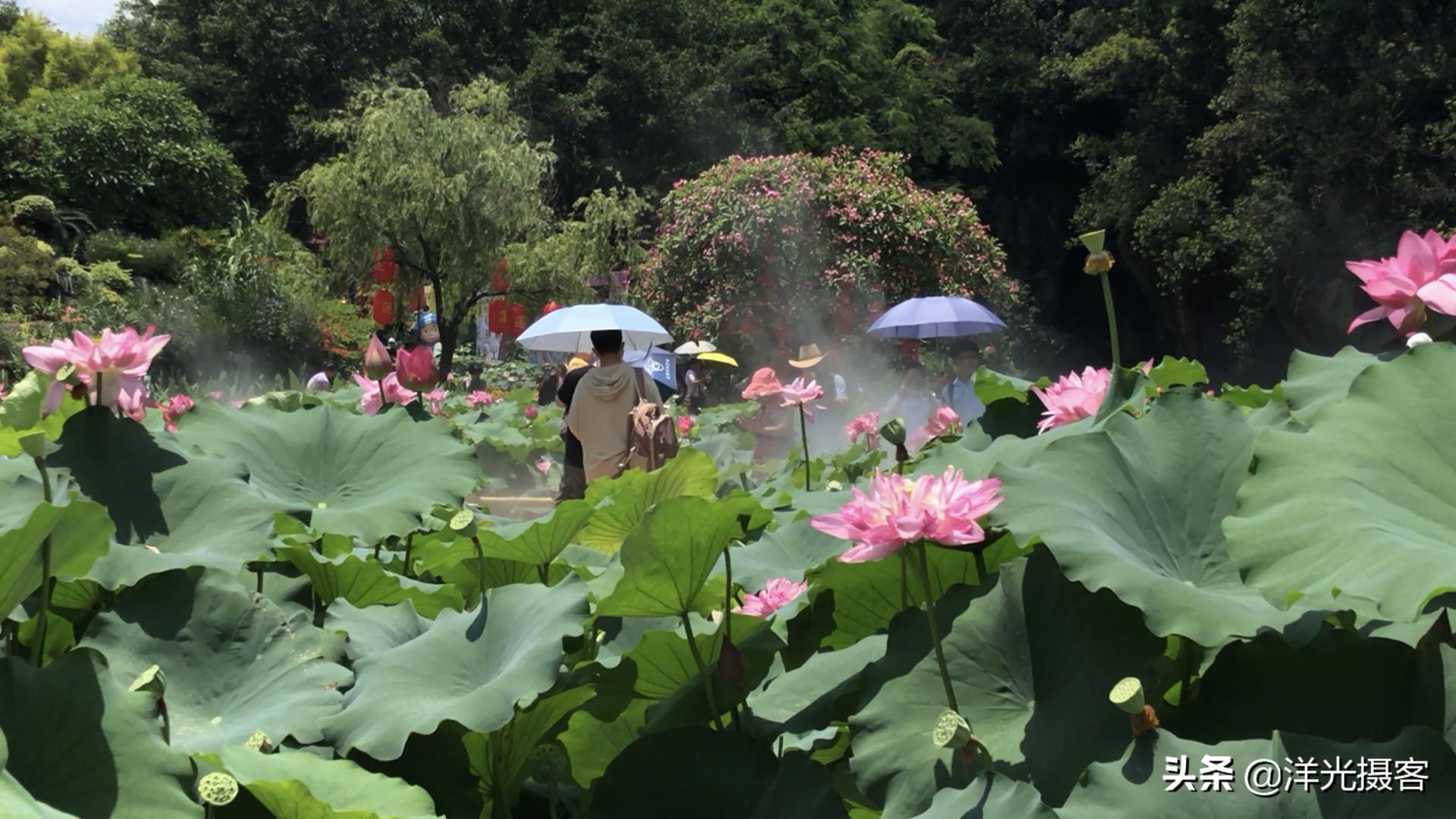 搜索广州附近好玩的地方,广州想找个放松心情的地方