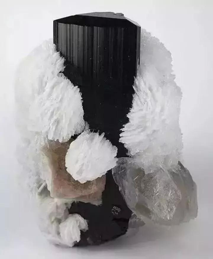 西瓜碧玺慈禧太后,慈禧太后不能吃的食物