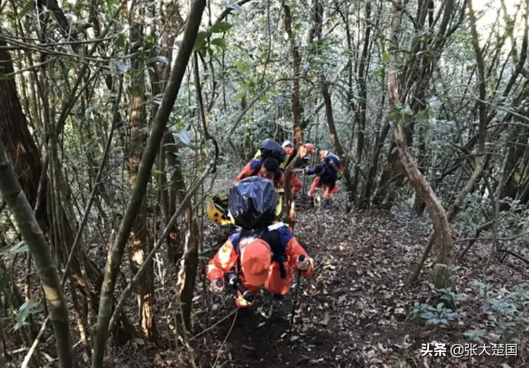 云南哀牢山地质人员遇难,云南哀牢山遇难人员死因最新分析