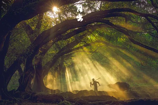 读懂十二时辰就懂人生,读懂中国十二时辰