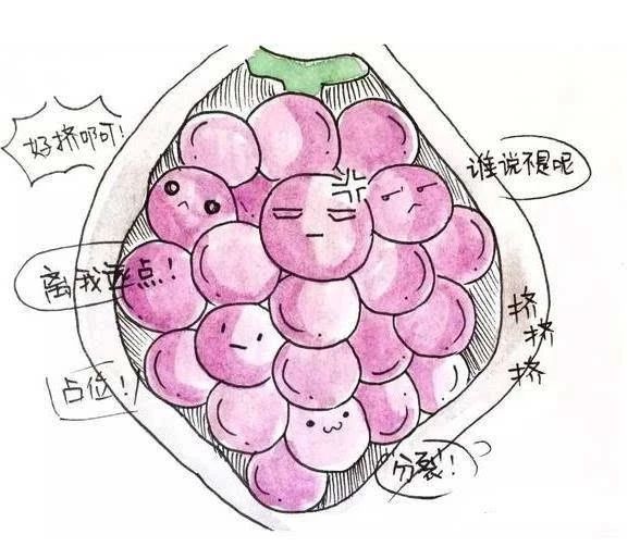 孕妇出血,小心得了“葡萄胎”!