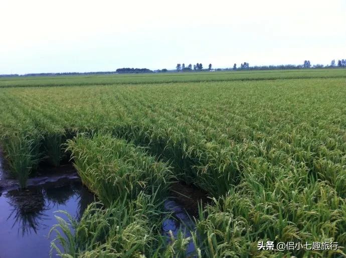 生态农业与生态农业发展的区别,生态农业发展与生态农业科技