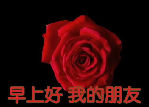 早上发的早安问候语简短,清晨早安温馨问候语集锦